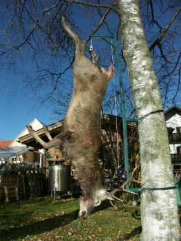 Wildlift - Aufbrechhilfe mit Seilwinde und Wildgalgen