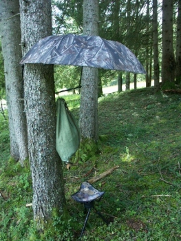 Baumschirm