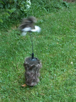Praedatoren Magnet Critter