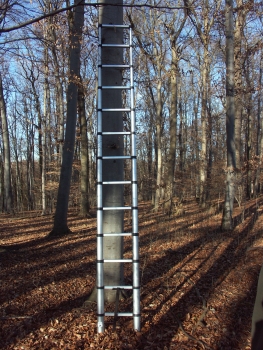 Teleskopierbare Ausziehleiter Aluminium