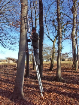 Teleskopierbare Ausziehleiter Aluminium