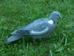 Beflockte Locktauben - Vollschale