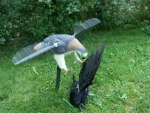 Angreifender Greifvogel mit rotierenden Fl�geln